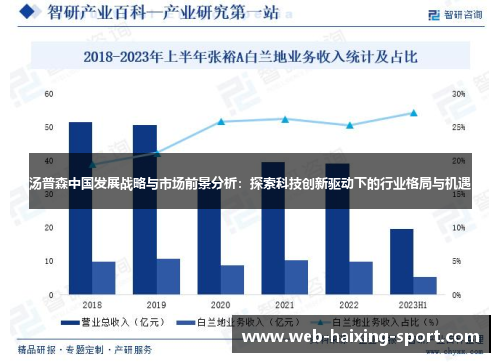 汤普森中国发展战略与市场前景分析：探索科技创新驱动下的行业格局与机遇