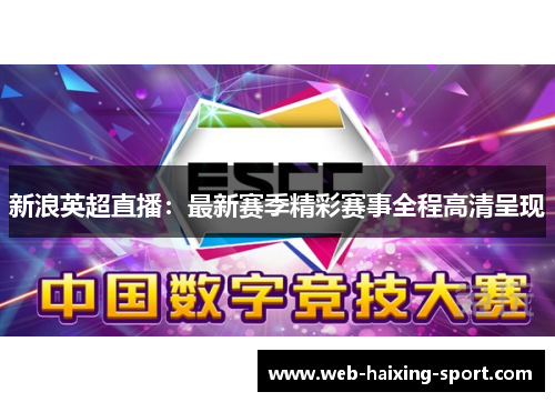 新浪英超直播：最新赛季精彩赛事全程高清呈现