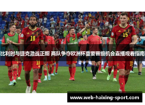 比利时与捷克激战正酣 两队争夺欧洲杯重要晋级机会直播观看指南