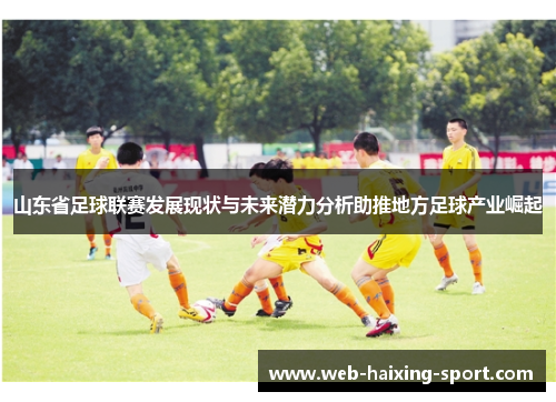 山东省足球联赛发展现状与未来潜力分析助推地方足球产业崛起