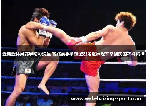 近期武林风赛事精彩纷呈 各路高手争锋激烈角逐展现拳拳到肉的决斗精神